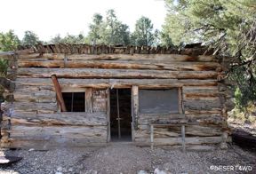 NV Logan City 5